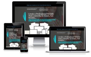 Professional website design